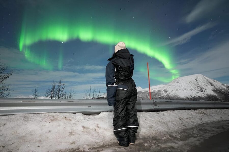 From Tromsø: Northern Lights Tour in Minibus with Photos - Waiting Under the Aurora