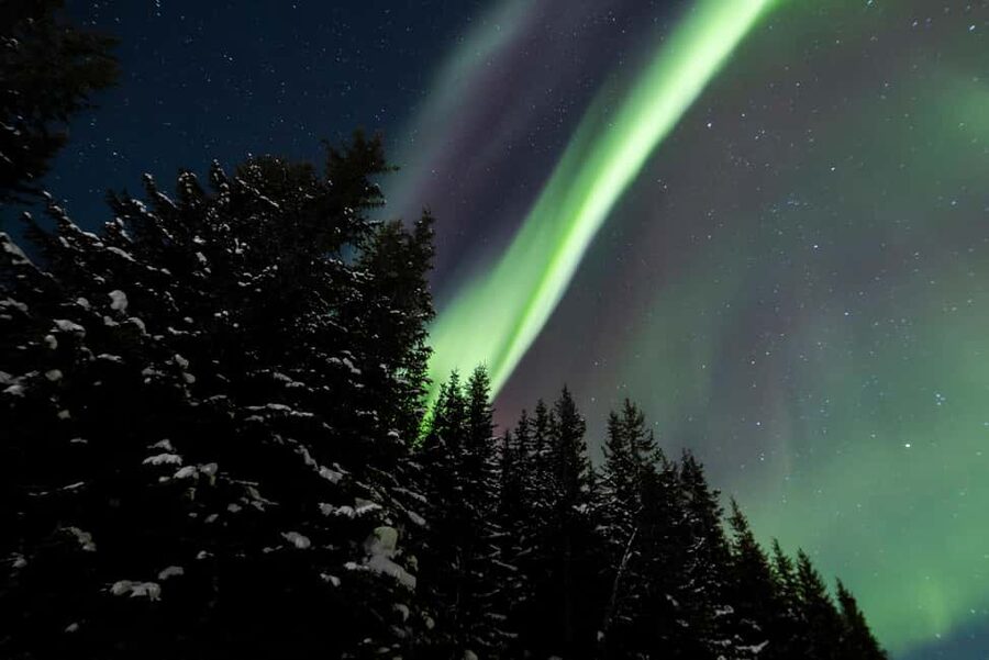 From Tromsø: Northern Lights Visit at Camp Tamok - Waiting for the Northern Lights