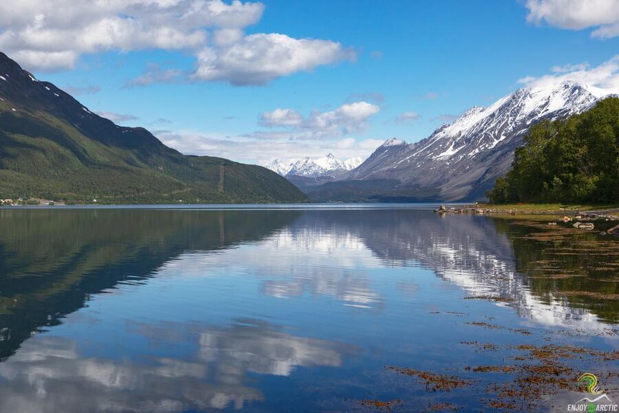 From Tromso: Norwegian Fjords Half-Day Tour - Why Kvaløya makes a fine half-day escape