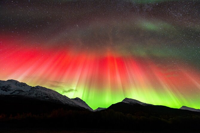 From Tromsø: OFFICIAL Northern Lights Safari by Minibus - Chasing clear skies beyond Tromsø