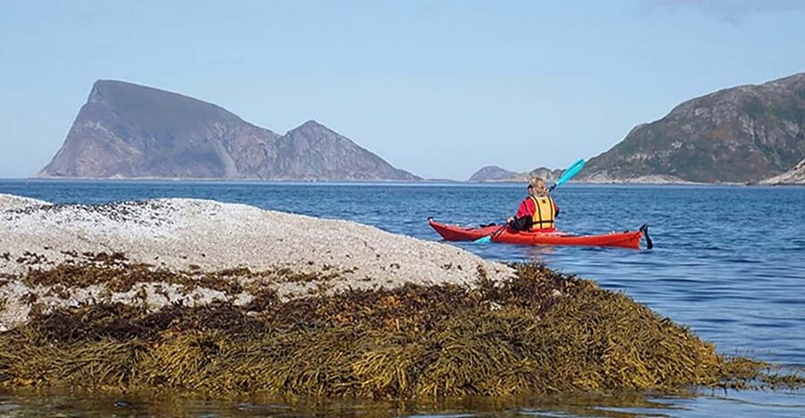 From Tromsø: Sea Kayaking Tour at Sommarøy with Transfer - Who will enjoy this tour most