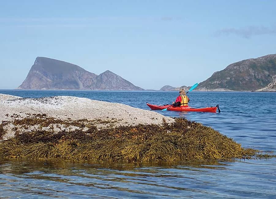 From Tromsø: Sea Kayaking Tour at Sommarøy with Transfer - What the $157 price really covers