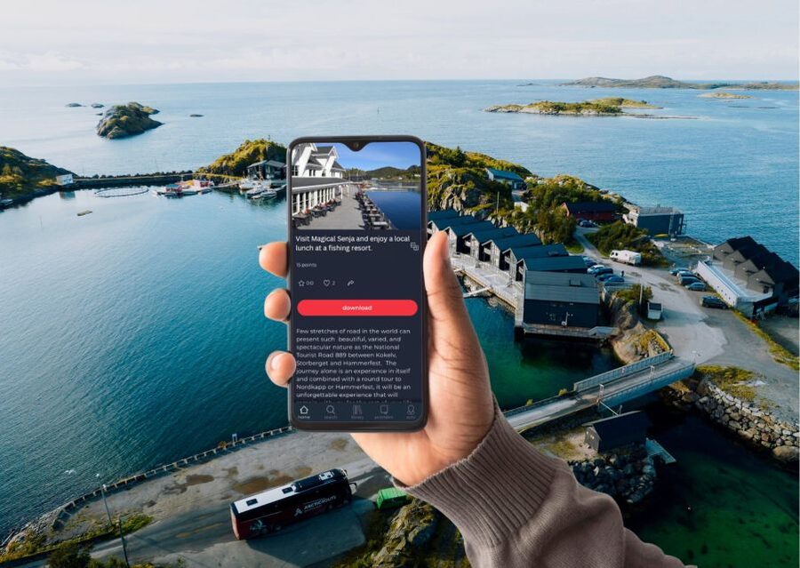 From Tromsø: Self-Guided Fjord Tour to Senja and Local Lunch - What the $195 price includes