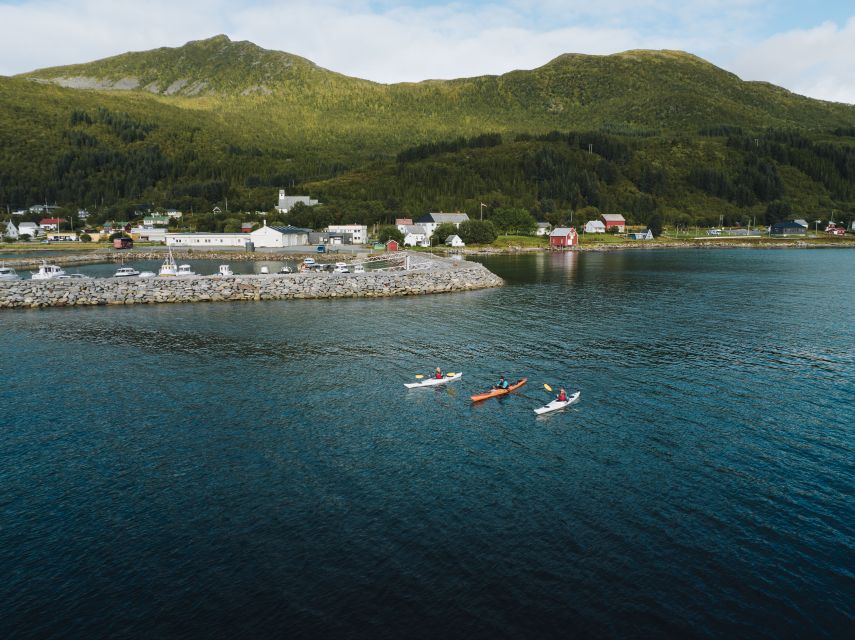 From Tromsø: Self-Guided Fjord Tour to Senja and Local Lunch - Who will enjoy this Senja day trip?