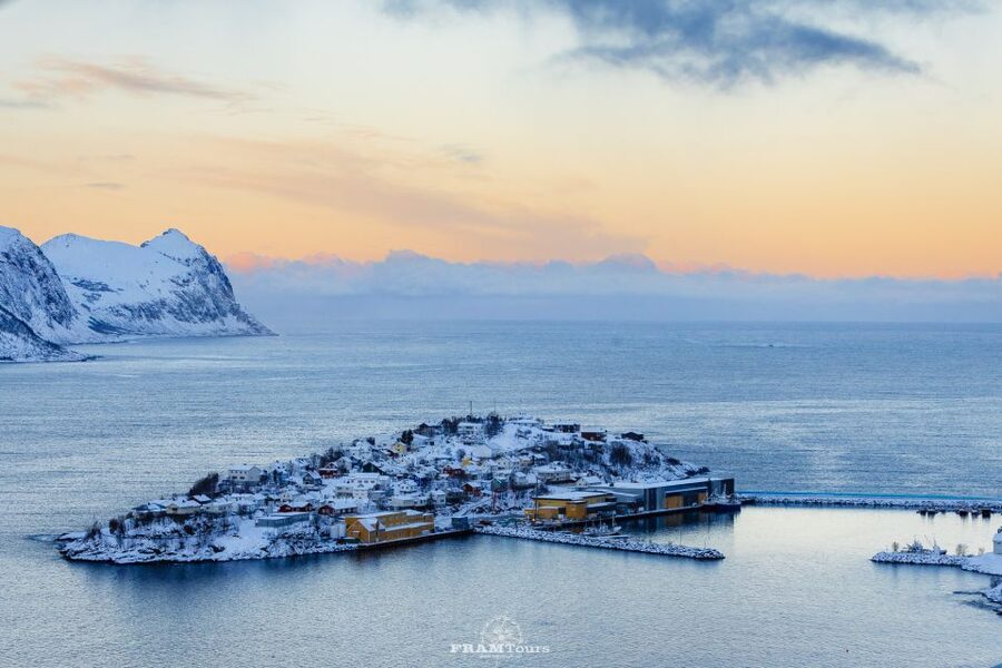 From Tromsø: Senja and Kvaløya Arctic Day Trip with Lunch - Key points to know before booking