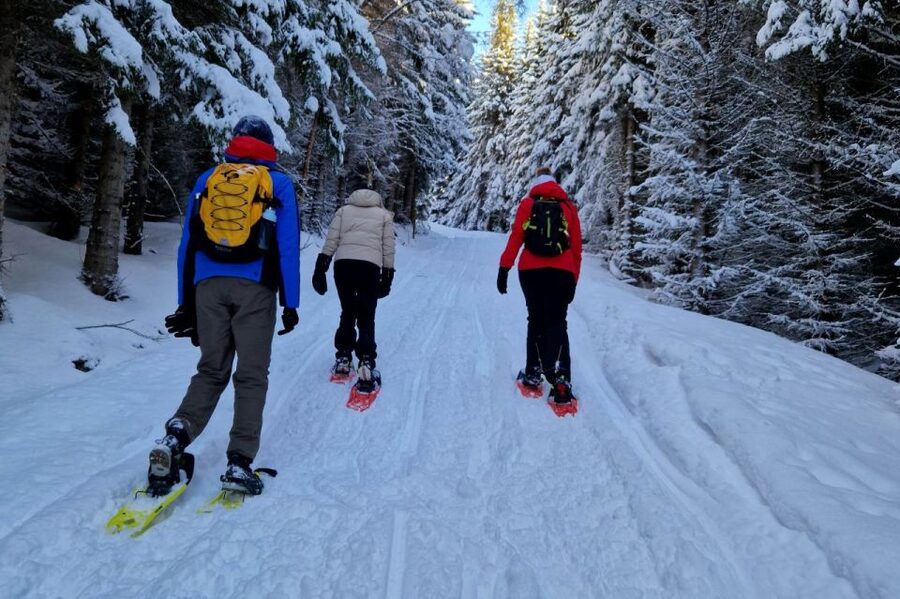 From Tromsø: Snowshoe Hike in the Arctic - Why this is one of Tromsø’s better active outings
