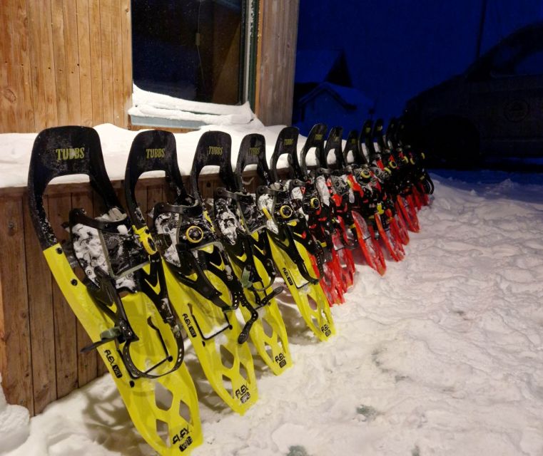 From Tromsø: Snowshoe Hike in the Arctic - Wildlife, tracks, and Arctic details