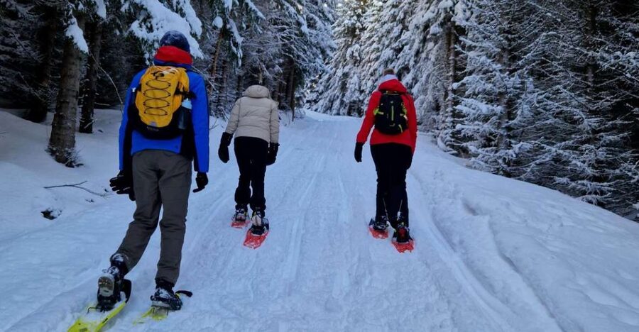 From Tromsø: Snowshoe Hike in the Arctic - Meeting at Clarion Hotel The Edge