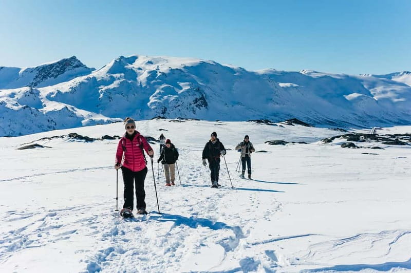 From Tromsø: Snowshoeing Hike with Picnic Lunch and Photos - Key points at a glance