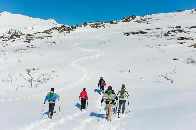 From Tromsø: Snowshoeing Hike with Picnic Lunch and Photos - How the weather can change the plan