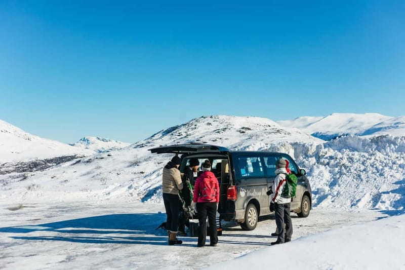 From Tromsø: Snowshoeing Hike with Picnic Lunch and Photos - Watching for reindeer and Arctic birds