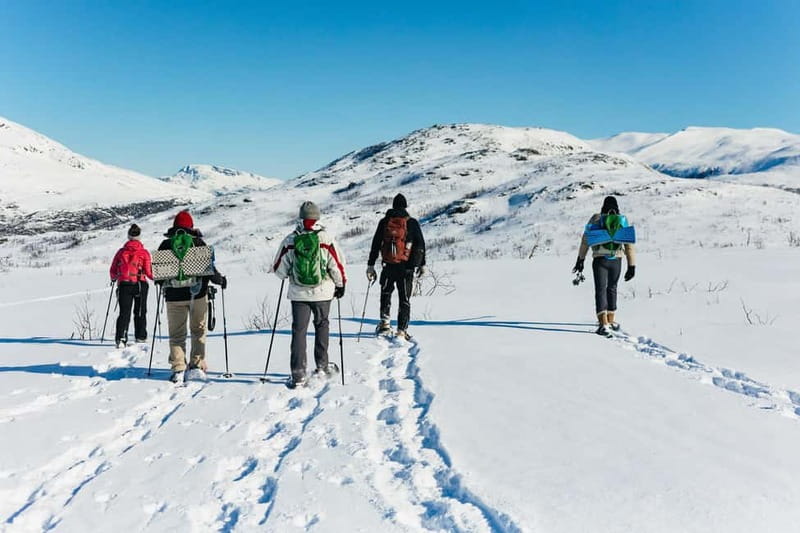 From Tromsø: Snowshoeing Hike with Picnic Lunch and Photos - What the four hours feel like