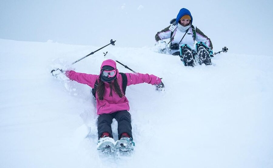 From Tromsø: Snowshoeing Hike with Picnic Lunch and Photos - The value of $152