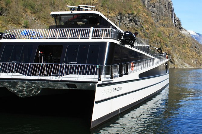 Full Day Guided Roundtrip From Bergen To Sognefjord With Flam Railway - Why this Bergen day trip works