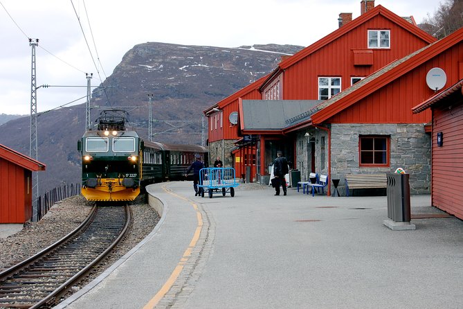 Full Day Guided Roundtrip From Bergen To Sognefjord With Flam Railway - 8:00 a.m. pickup and the Bergen Railway to Voss