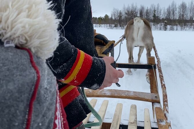 Full-Day Reindeer Tour with Pickup in Kiruna - Hearing about Sámi life from Fredrik and Peter