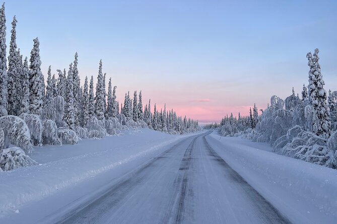 Full-Day Reindeer Tour with Pickup in Kiruna - Taking the one-kilometer reindeer sled route