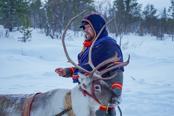 Full-Day Reindeer Tour with Pickup in Kiruna - Lunch beside the fire in a traditional tent