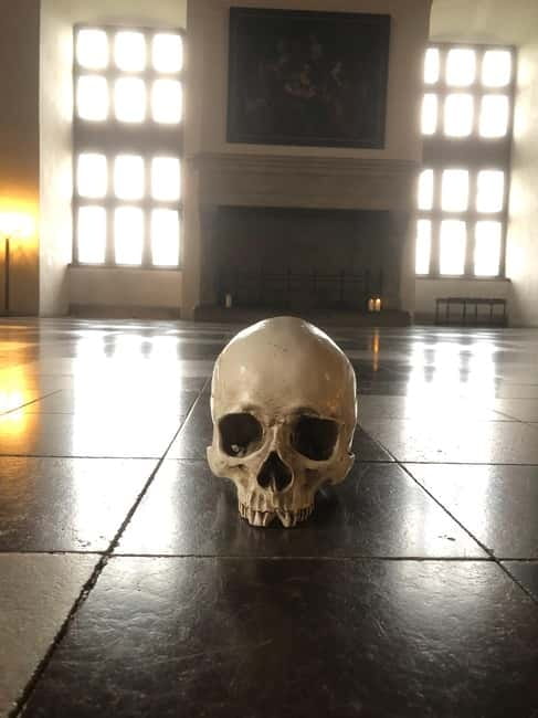 Full-Day Tour; Castle, Palace, Cathedral and Viking Ships - Kronborg Castle and the world of Hamlet