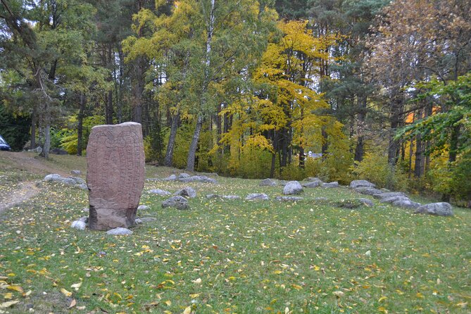 Full Day Viking Tour with Fika Swedish Coffee Break - Fika and the Viking settlement at Granby Farm