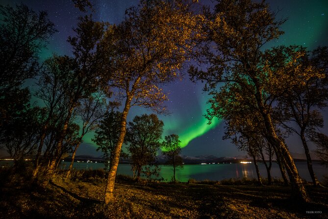 Full Night Magic of the Northern Lights in Tromso - Key points to know before you book