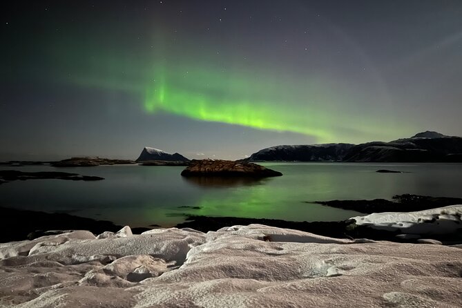 Full Night Magic of the Northern Lights in Tromso - When the bonfire and warm drinks appear