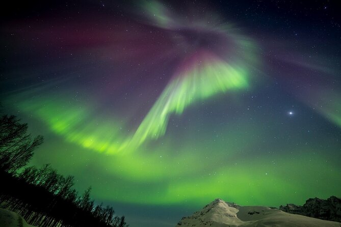 Full Night Magic of the Northern Lights in Tromso - The cold is part of the experience