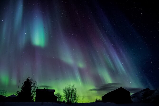 Full Night Magic of the Northern Lights in Tromso - Problems you should know about