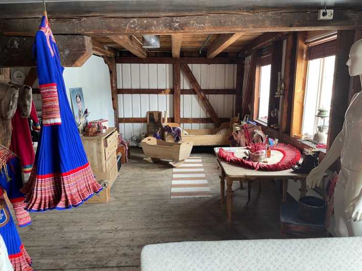 Full steam museum - Guided Sami Culture escursion - A short Sami visit with a personal voice