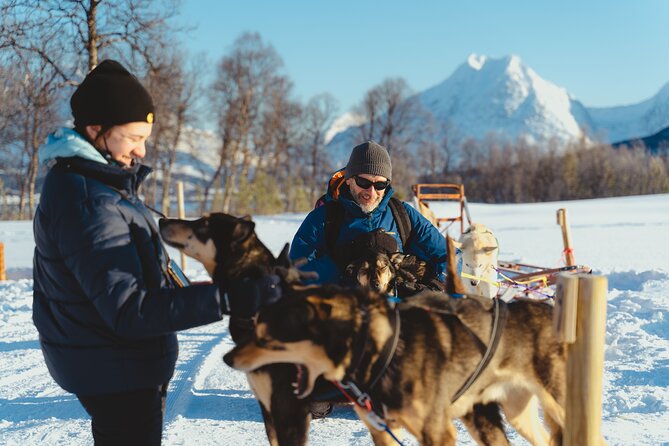 Fun & Easy Dog Sledding Adventure from Tromsø - Noon Tour - Is $289.03 a fair price?