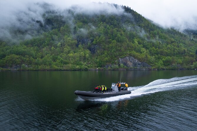 Fyksesund majestic RIB Adventure from Øystese - Is $95.93 a fair price?