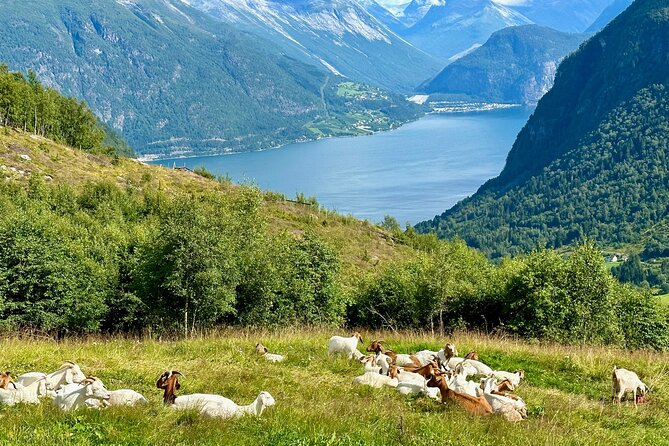 Geiranger by Royal route, 5 hours with visiting a high-mountain farm - Eidsvatnet: an alpine lake with farms nearby