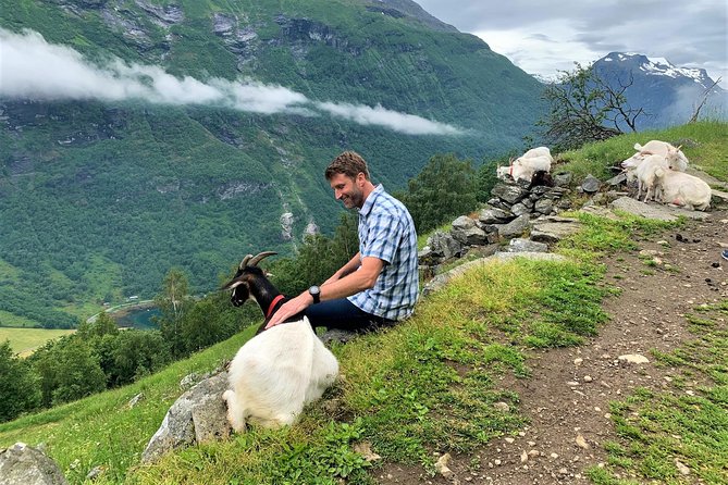 Geiranger by Royal route, 5 hours with visiting a high-mountain farm - Eagle Road and Ornesvingen: the first big view