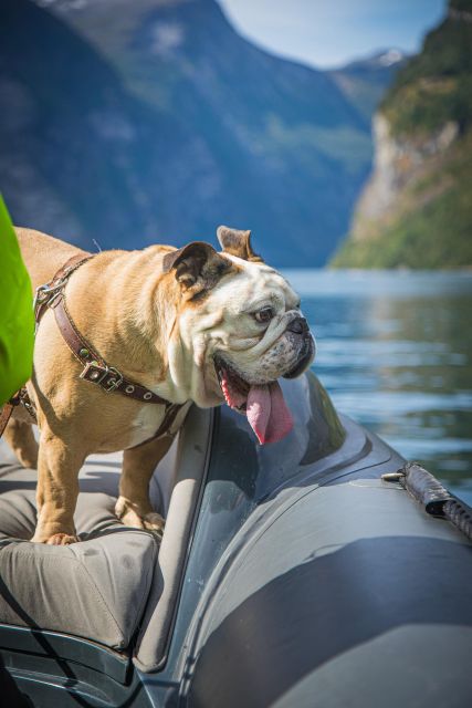 Geiranger: Guided Geirangerfjord Boat Tour - De Syv Søstre and the stories behind the falls