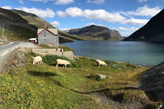 Geiranger: Sky to Fjord Downhill Biking Adventure - What the two and a half hours really includes