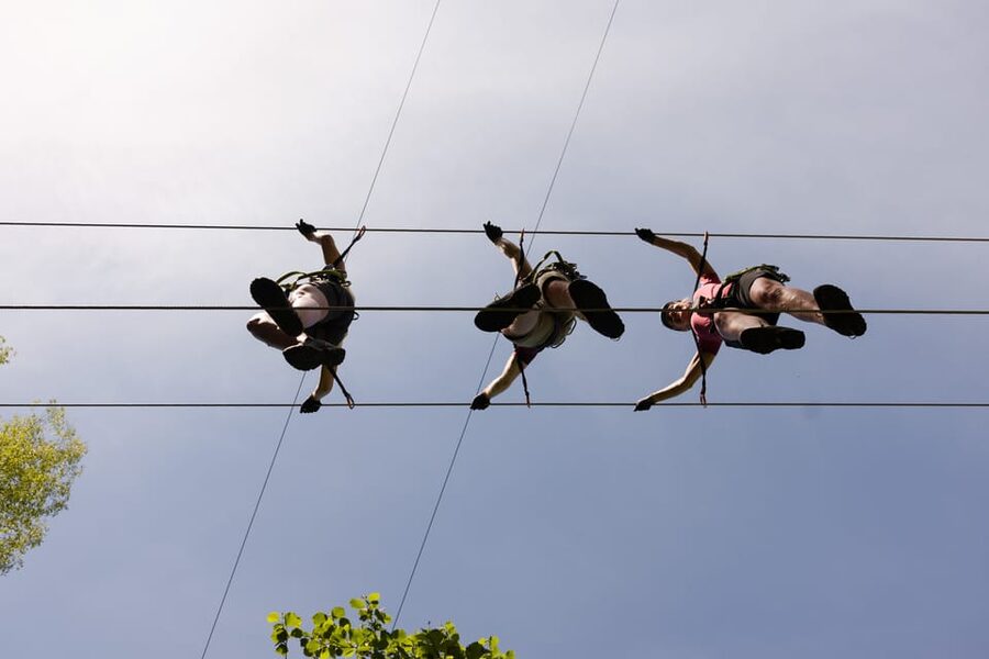Geiranger: Zipline Park Experience - Four Nepalese bridges and four parallel ziplines