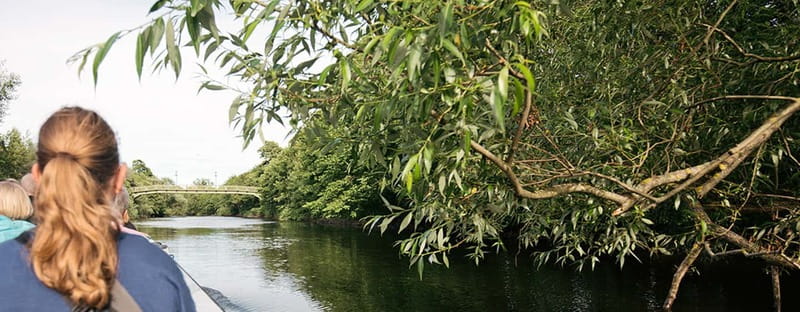 Gothenburg: Paddan Sightseeing Cruise on the River Säveån - Key points to know before boarding