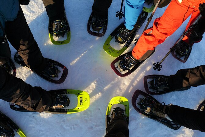 Guided easy snowshoeing with a visit to local café - Five things to know before you book