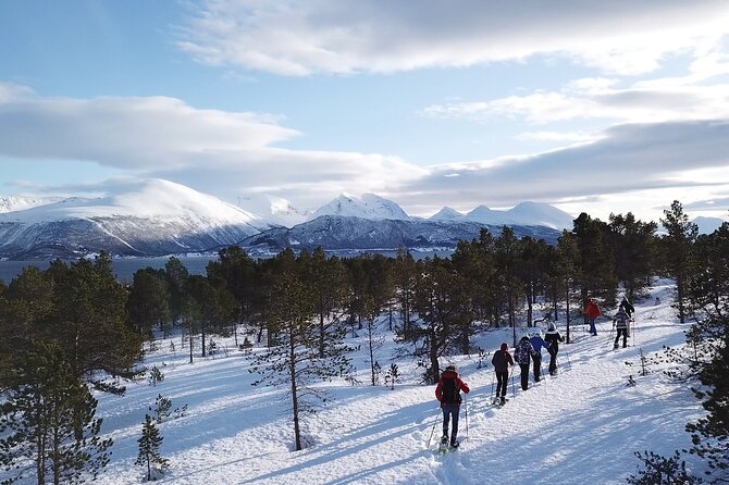 Guided easy snowshoeing with a visit to local café - What $164.07 buys you