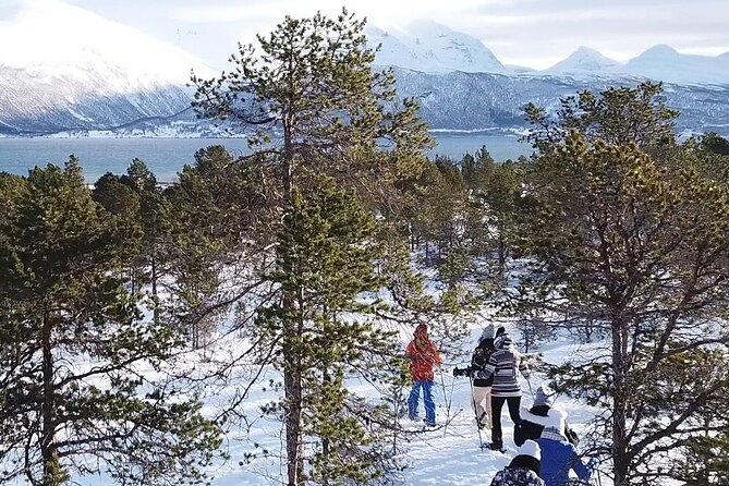 Guided easy snowshoeing with a visit to local café - Weather, cancellations, and practical timing
