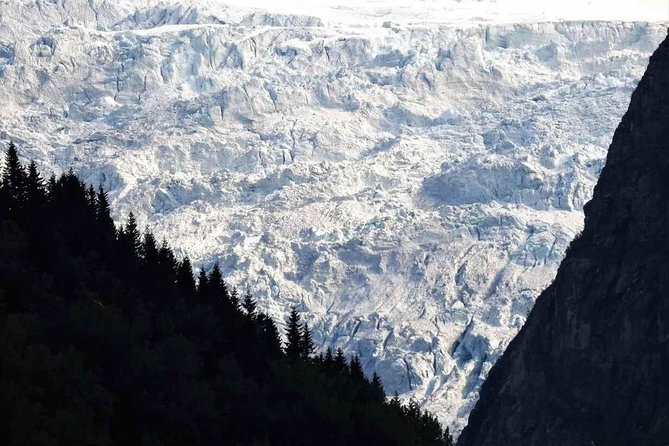 Guided Fjord & Glacier Tour - From BERGEN - Why this Bergen day trip covers so much ground