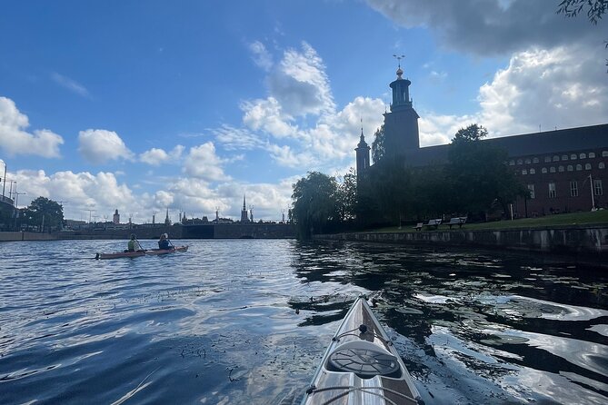 Guided Kayak Tour in Central Stockholm - What the $78.14 price includes