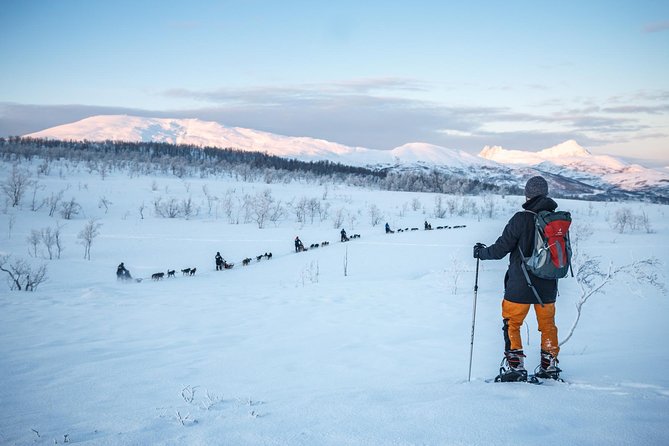 Guided Morning Snowshoe Hike with Huskies - From Radisson Blu to Tromsø Wilderness Centre