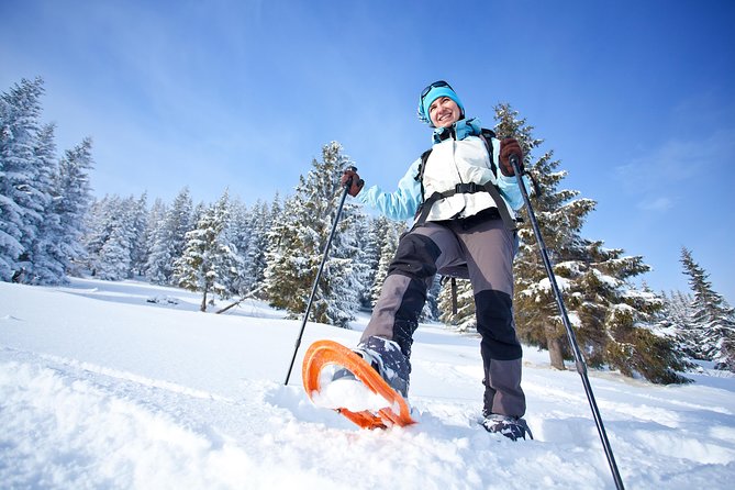 Guided Morning Snowshoe Hike with Huskies - What the five-hour schedule means for your day