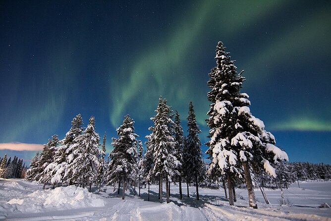 Guided Northern Lights Tour at Kiruna - What happens at the wilderness stops