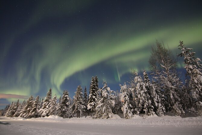 Guided Northern Lights Tour at Kiruna - Who will enjoy this tour most?