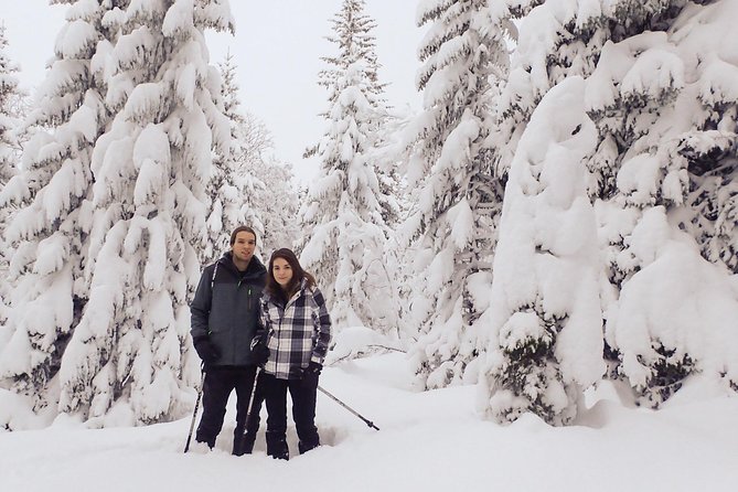 Guided Snowshoe Walk on Tromsoya Island in Tromso - Key points to know before you book