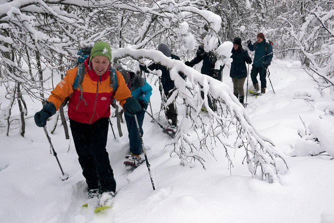Guided Snowshoe Walk on Tromsoya Island in Tromso - From Fredrik Langes gate to Tromsøya’s snowy woods