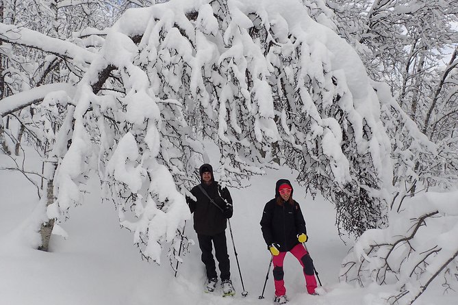 Guided Snowshoe Walk on Tromsoya Island in Tromso - Gear, clothing, and winter comfort