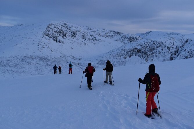 Guided Snowshoe Walk on Tromsoya Island in Tromso - Snow conditions and backup plans